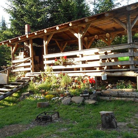 Cabana Filip Кавник Екстериор снимка